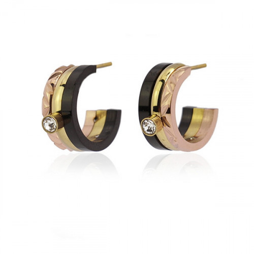 Pendientes de Acero Aros Anartxy BPE732COM