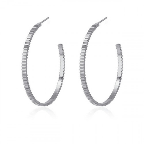 Pendientes de Acero Aros Anartxy BPE663PL