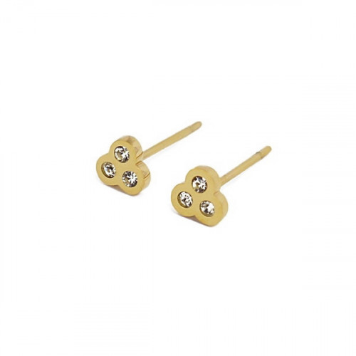 Pendientes Anartxy BPE774D