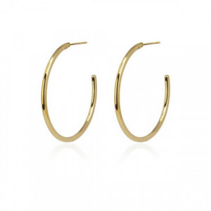 Pendientes de Acero Aros Anartxy BPE739D