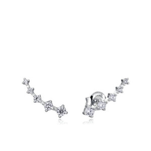 Pendientes Trepadores de Plata Viceroy 13005E000-30